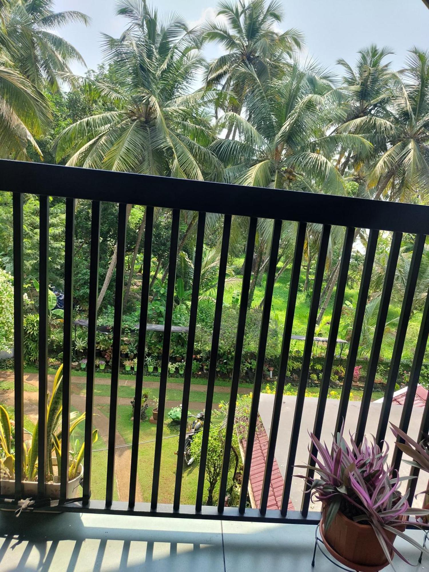 Maleyam Homestay Riverside Кожикоде Екстер'єр фото